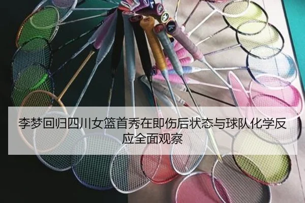 李梦回归四川女篮首秀在即伤后状态与球队化学反应全面观察